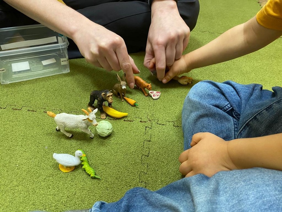 Медико-педагогическая комиссия в центре Марианны Лынской