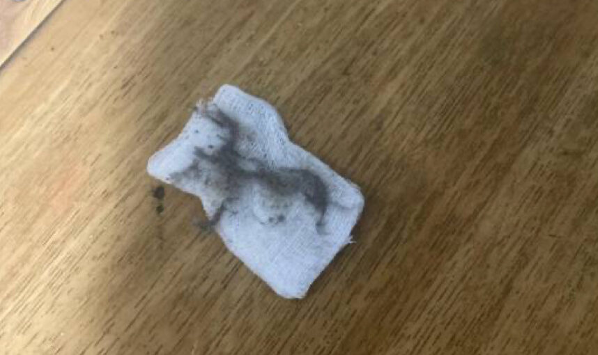 «Клининговые уроки» для московских школ