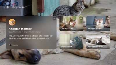 Больше возможностей на выставке MWC 2022 благодаря Petal Search от Huawei