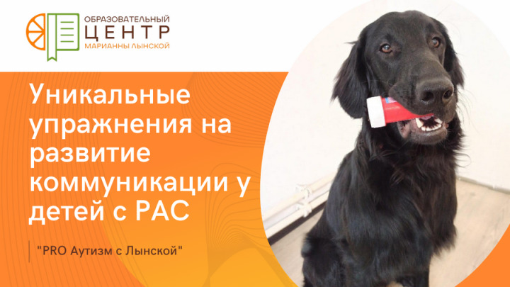 Что нужно знать о канистерапии как о методе развития речи у детей с аутизмом