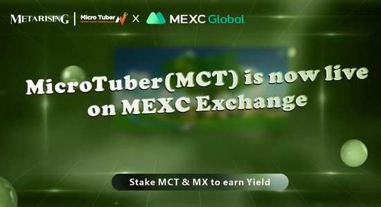 Бесконечный проект Metaverse MetaRising поддерживает приобретение ценности MCT