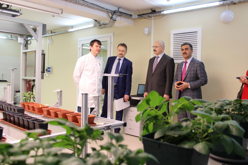 Россия ликвидирует зависимость от импорта иностранных семян и племенного материала