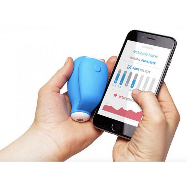 Вумбилдинг для начинающих: изучаем тренажеры для женщин