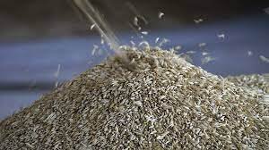 <strong><br>The Wall Street Journal раскрыл подробности переговоров по&nbsp;«зерновому вопросу»</strong>