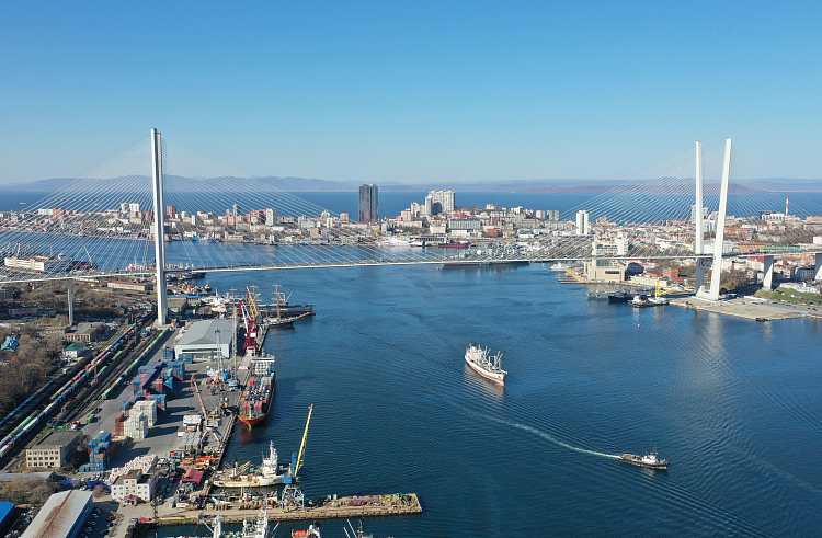 Решение «Нацрыбресурса» перечеркивает планы Владморрыбпорта на работу предприятия