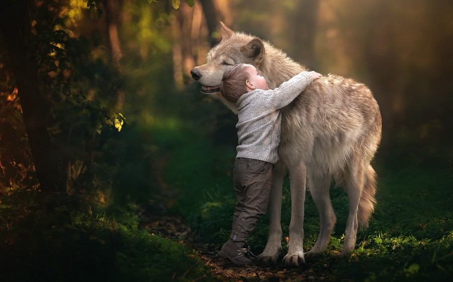 Детокс Личности: инструкция для тех, кто хочет немедленно изменить свою жизнь