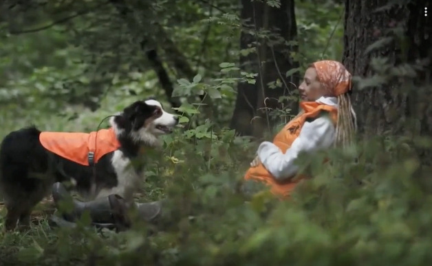 «Спасибо за смелость и доброту!». Отчётное собрание и фуршет со спасателями, кинологами и собаками отряда «К9 Лиза Алерт»