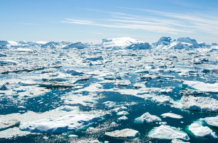 Столичные школьники станут участниками экспедиции в Арктику