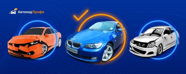 Аналитики рассказали, владельцы каких машин побили рекорды по неоплаченным штрафам в марте￼