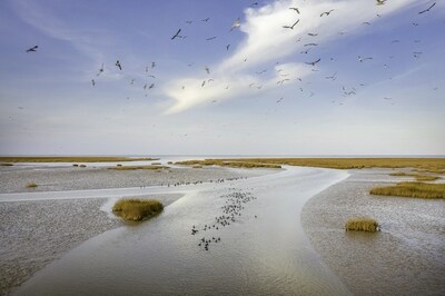 CGTN: Yellow River Culture Forum посвящен колыбели китайской цивилизации