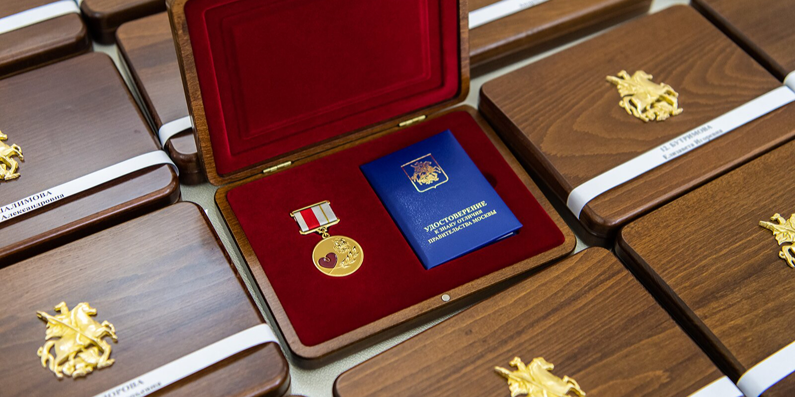 История добрых дел: москвичи рассказали о своем волонтерском пути