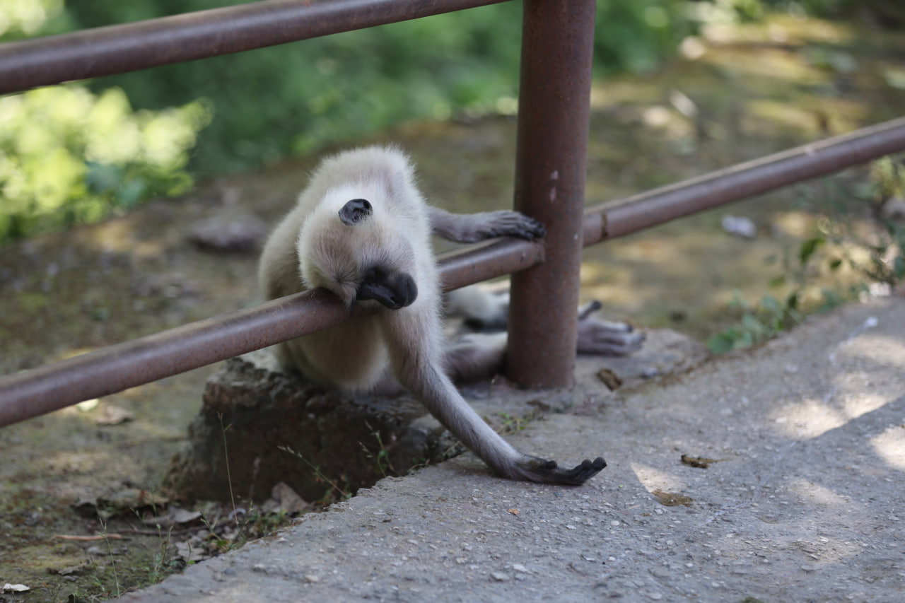 «Голая йога»: новый тренд или опасный эксперимент?