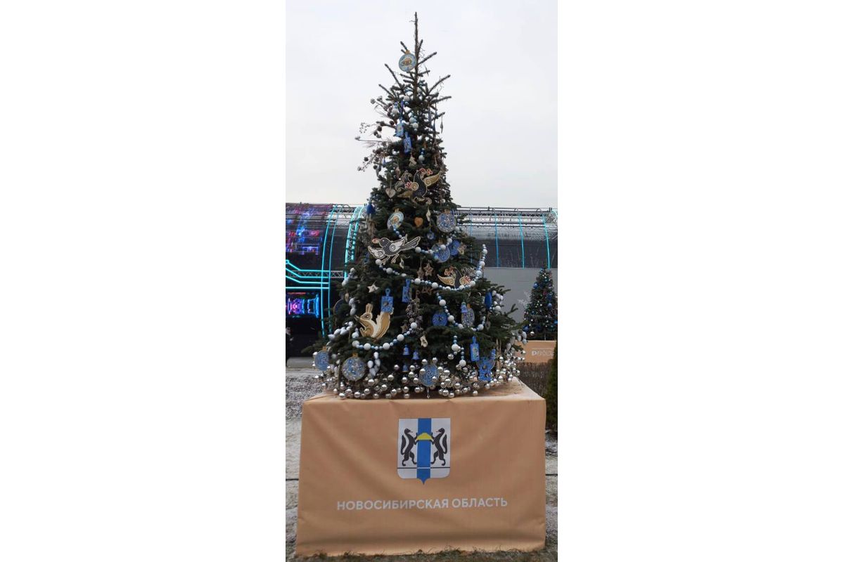 В Москве появилась новосибирская новогодняя ёлка