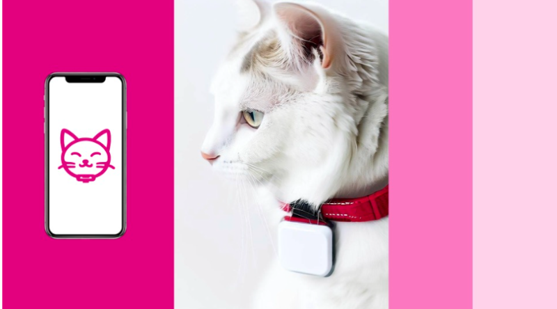 Школьники придумали умный ошейник для мониторинга здоровья питомцев