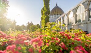 Серия голосований «Вот это Москва!» собрала уже более 700 тысяч мнений горожан