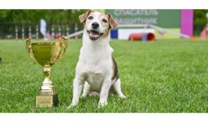 Более 16 тысяч москвичей посетили мероприятия цикла «Друг, спасатель, защитник»