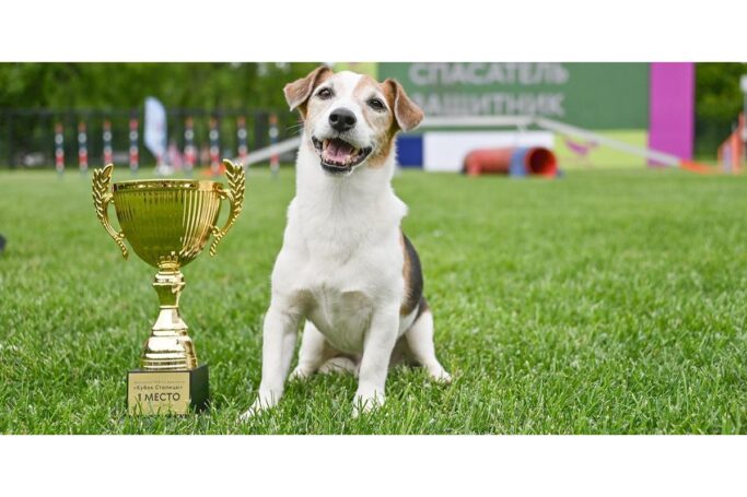 Более 16 тысяч москвичей посетили мероприятия цикла «Друг, спасатель, защитник»