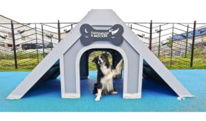 Новое голосование в «Активном гражданине» посвятили проекту «Питомцы в Москве»