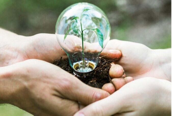 В Подмосковье подвели итоги Конкурса экологических проектов: новые идеи для будущего экологии!