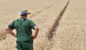 Олег Сирота попросил правительство вернуть фермеров и сельхозкооперацию в нацпроект по развитию экономики