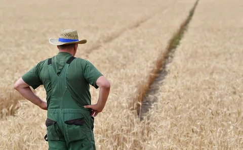 Олег Сирота попросил правительство вернуть фермеров и сельхозкооперацию в нацпроект по развитию экономики