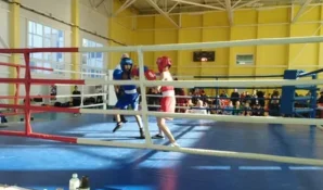 Россияне рассказали, кто отвечает за поддержку отечественного спорта