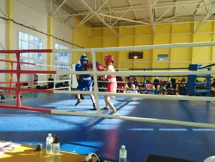 Россияне рассказали, кто отвечает за поддержку отечественного спорта