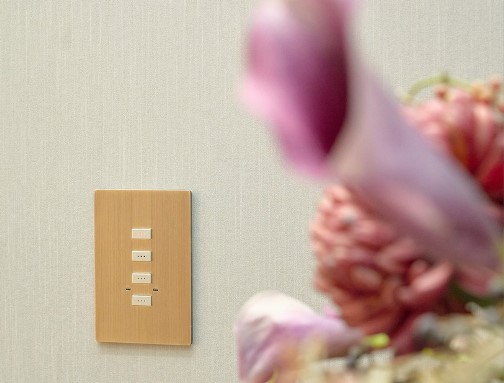 Как выбрать розетки и выключатели для дома: рекомендации эксперта