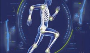 Книга «Анатомические меридианы» Ирины и Алены Старковых помогает понять свой организм