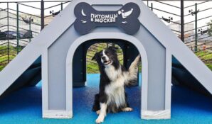 В столице создадут талисман проекта «Питомцы в Москве»