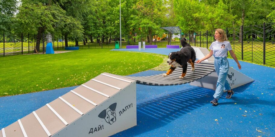 Москвичи высоко оценили проект для владельцев собак «Друг, спасатель, защитник»