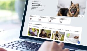 Москвичи направили на благотворительность более 300 миллионов рублей через городской сервис