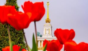 От первоцветов до роз: какими растениями можно будет полюбоваться на ВДНХ в этом году