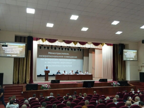На форуме в Краснодарском крае обсудили ситуацию с производством и экспортом зерновых и масличных культур